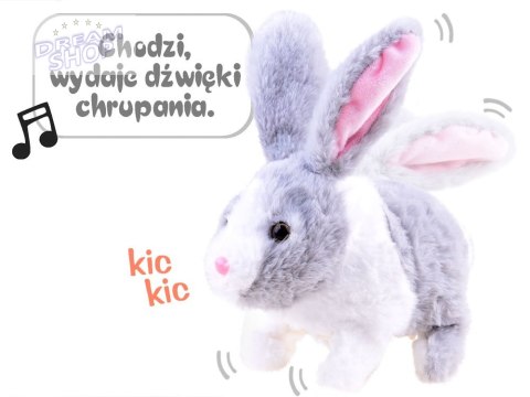 Interaktywny zwierzaczek chrupaczek Kicający Królik + marchewka ZA2685 Interaktywny zwierzaczek chrupaczek Kicający Królik + marchewka ZA2685