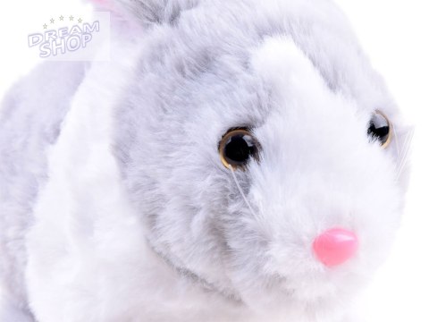 Interaktywny zwierzaczek chrupaczek Kicający Królik + marchewka ZA2685 Interaktywny zwierzaczek chrupaczek Kicający Królik + marchewka ZA2685