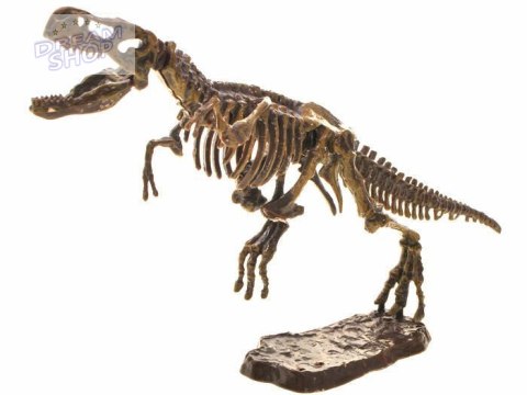 Szkielet T-REX 3D wykopaliska zestaw ZA1777 A