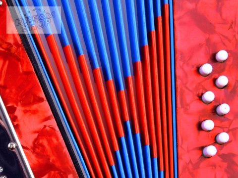 Duży muzyczny AKORDEON dla dzieci Harmonia IN0148