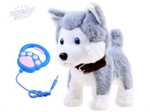 Interaktywny piesek Husky na smyczy szczeka ZA3888 Interaktywny piesek Husky na smyczy szczeka ZA3888