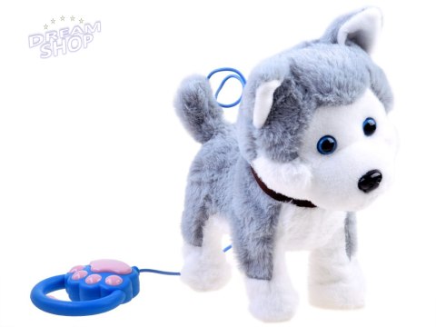 Interaktywny piesek Husky na smyczy szczeka ZA3888 Interaktywny piesek Husky na smyczy szczeka ZA3888