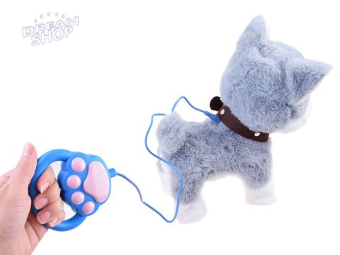 Interaktywny piesek Husky na smyczy szczeka ZA3888 Interaktywny piesek Husky na smyczy szczeka ZA3888