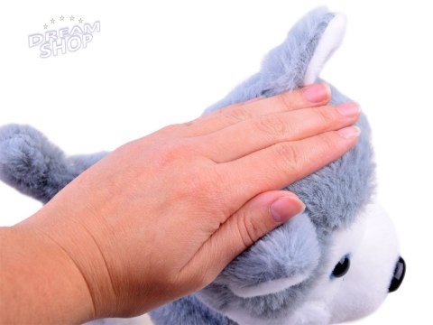 Interaktywny piesek Husky na smyczy szczeka ZA3888 Interaktywny piesek Husky na smyczy szczeka ZA3888