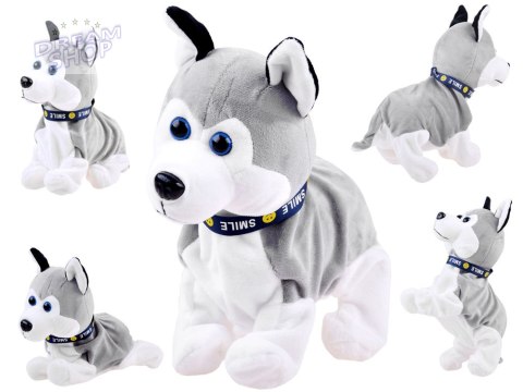 Interaktywny piesek Husky reaguje na dotyk Szczeka + różne sztuczki ZA1333