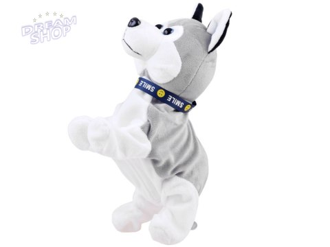 Interaktywny piesek Husky reaguje na dotyk Szczeka + różne sztuczki ZA1333