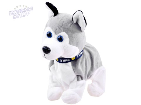 Interaktywny piesek Husky reaguje na dotyk Szczeka + różne sztuczki ZA1333