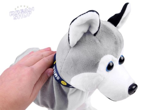 Interaktywny piesek Husky reaguje na dotyk Szczeka + różne sztuczki ZA1333