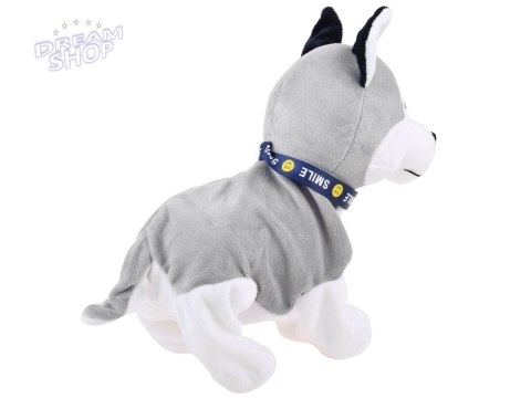 Interaktywny piesek Husky reaguje na dotyk Szczeka + różne sztuczki ZA1333