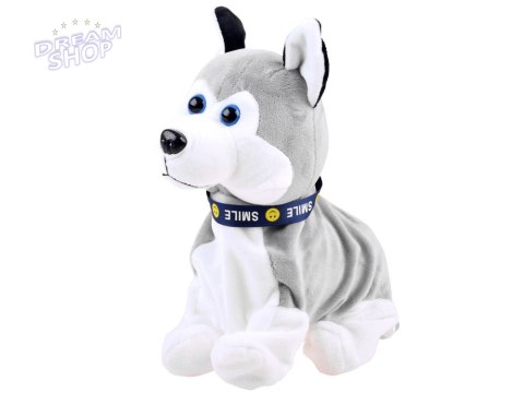 Interaktywny piesek Husky reaguje na dotyk Szczeka + różne sztuczki ZA1333