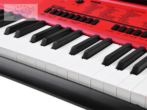 Duży Keyboard BF-950A Organy 61 klawiszy + mikrofon IN0140 Duży Keyboard BF-950A Organy 61 klawiszy + mikrofon IN0140