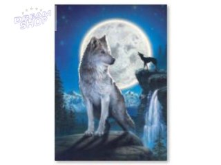 Haft Diamentowy, Obraz, Mozaika Diamentowa Diamond Painting, WILK 30x40cm