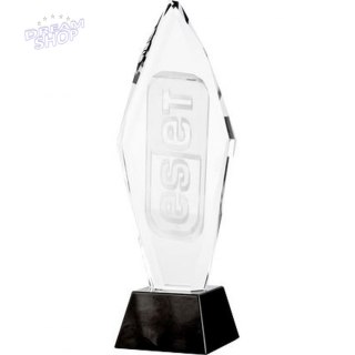 Trofeum Szklane Grawerowane 3D