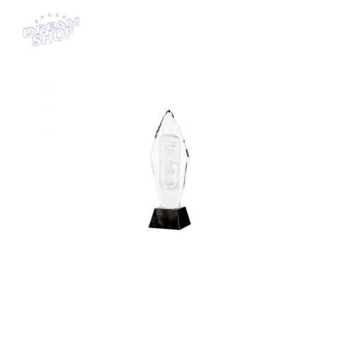 Trofeum Szklane Grawerowane 3D