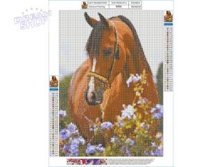 Haft Diamentowy, Obraz, Mozaika Diamentowa Diamond Painting, KOŃ - ŁĄKA 30x40cm