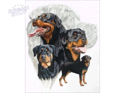 Haft Diamentowy, Obraz, Mozaika Diamentowa Diamond Painting, PIES - ROTTWEILER 30x40cm Haft Diamentowy, Obraz, Mozaika Diamentowa Diamond Painting, PIES - ROTTWEILER 30x40cm
