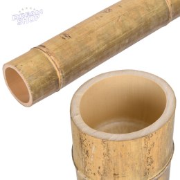 Tyczka bambusowa MOSO 100 cm 9-10 cm