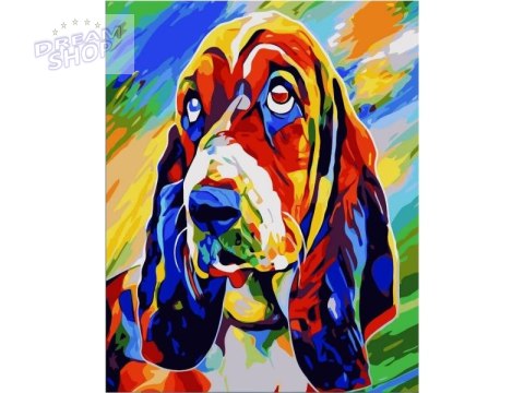 OBRAZ MALOWANIE PO NUMERACH RAMA 40x50cm BASSET HOUND - PIES W KOLORZE