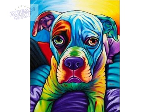 OBRAZ MALOWANIE PO NUMERACH RAMA 40x50cm BULDOG - PIES W KOLORZE OBRAZ MALOWANIE PO NUMERACH RAMA 40x50cm BULDOG - PIES W KOLORZE