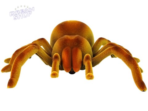 Zdalnie Sterowany Pająk Tarantula Podczerwień Brązowy R/C Zdalnie Sterowany Pająk Tarantula Podczerwień Brązowy R/C