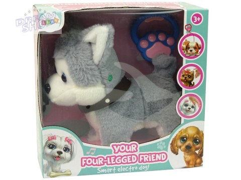 Pluszowy Piesek Husky Interaktywny Edukacyjny Smycz Piosenki Chodzi