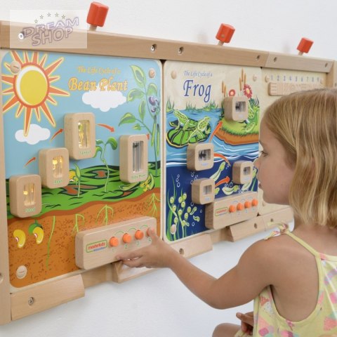 Cykl Życia Rośliny Tablica Edukacyjna Masterkidz Cykl Życia Rośliny Tablica Edukacyjna Masterkidz