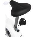 Rower stacjonarny magnetyczny B620 Eb fit