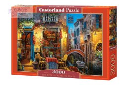 Puzzle 3000 el. Our Special Place in Venice
