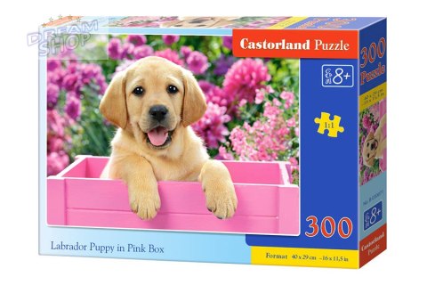 Puzzle 300 el. Labrador Puppy in Pink Box