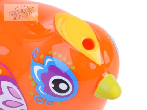 Ptaszek Gwizdek wodny Water Bird birds ZA1483