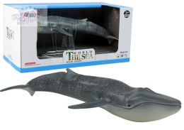 Duża Figurka Kolekcjonerska Płetwal Błękitny World The Sea