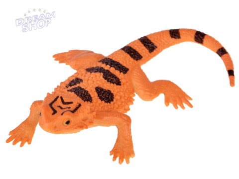 Gady jaszczurki Zestaw jaszczurek 6szt ZA4189 Gady jaszczurki Zestaw jaszczurek 6szt ZA4189