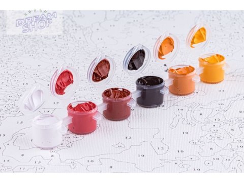 OBRAZ MALOWANIE PO NUMERACH RAMA 45x45cm SPACER W DESZCZU OBRAZ MALOWANIE PO NUMERACH RAMA 45x45cm SPACER W DESZCZU