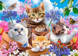 CASTORLAND Puzzle 120el. Kittens with Flowers - Koty w kwiatach