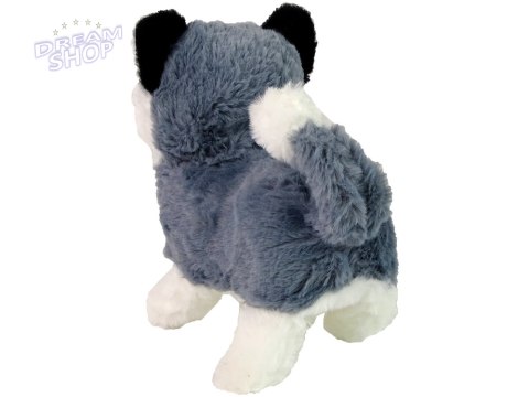 Interaktywna Maskotka Pies Husky Chodzi Porusza Ogonem Dźwięk Interaktywna Maskotka Pies Husky Chodzi Porusza Ogonem Dźwięk