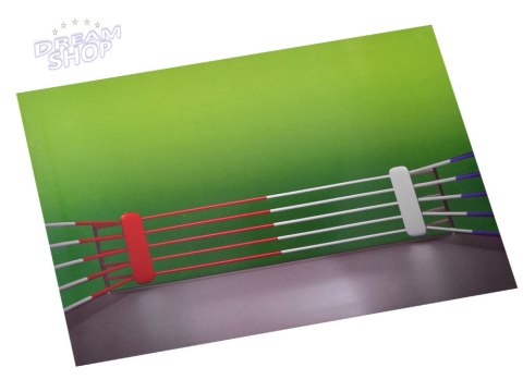 Boks zawody zabawka Bokserzy na pilota RC0597 Boks zawody zabawka Bokserzy na pilota RC0597
