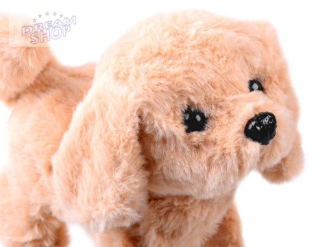 Interaktywny pluszowy Piesek w salonie SPA ZA4355 Interaktywny pluszowy Piesek w salonie SPA ZA4355