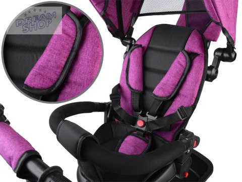Rowerek trójkołowy Tiny Bike 3w1 różowy z daszkiem SP0650