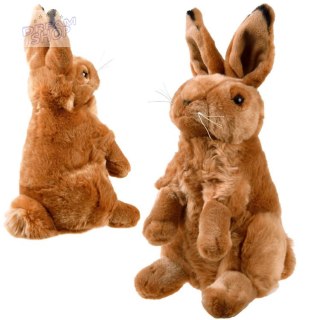 Maskotka Zając siedzący pluszowy królik 25cm 13463