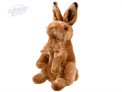 Maskotka Zając siedzący pluszowy królik 25cm 13463 Maskotka Zając siedzący pluszowy królik 25cm 13463