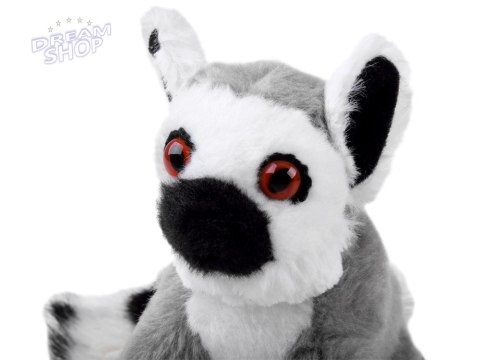 Maskotka pluszak Lemur Julek 13cm 13722 Maskotka pluszak Lemur Julek 13cm 13722