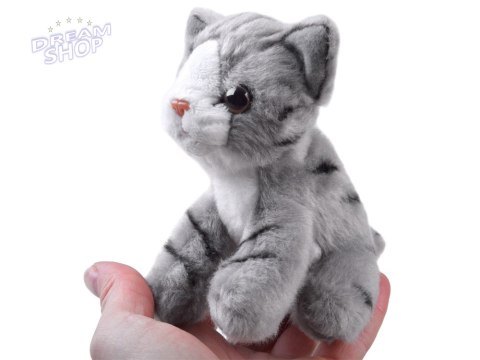 Maskotka Pluszak Kot siedzący kotek 13cm 13733