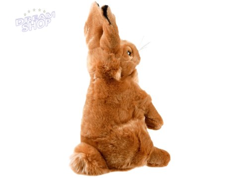 Maskotka Zając siedzący pluszowy królik 25cm 13463 Maskotka Zając siedzący pluszowy królik 25cm 13463
