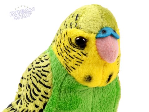Maskotka zielona Papuga falista 13cm 13847 Maskotka zielona Papuga falista 13cm 13847