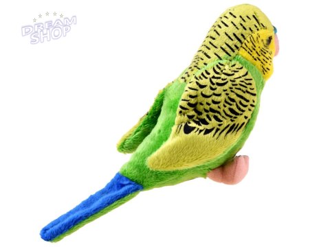 Maskotka zielona Papuga falista 13cm 13847 Maskotka zielona Papuga falista 13cm 13847