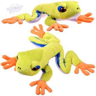 Maskotka zielona pluszowa Żaba drzewna 20cm 13358