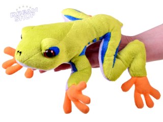 Maskotka zielona pluszowa Żaba drzewna 20cm 13358
