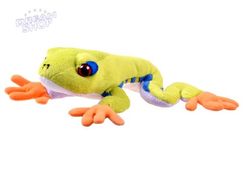 Maskotka zielona pluszowa Żaba drzewna 20cm 13358 Maskotka zielona pluszowa Żaba drzewna 20cm 13358