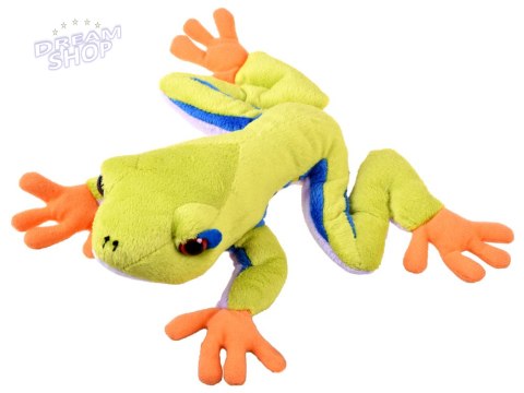 Maskotka zielona pluszowa Żaba drzewna 20cm 13358 Maskotka zielona pluszowa Żaba drzewna 20cm 13358