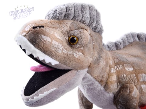 Duża maskotka Tyranozaur dinozaur 50cm 12951 Duża maskotka Tyranozaur dinozaur 50cm 12951